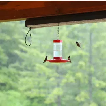 A parte la forma e le dimensioni, il colore della mangiatoia è attraente per i colibrì?