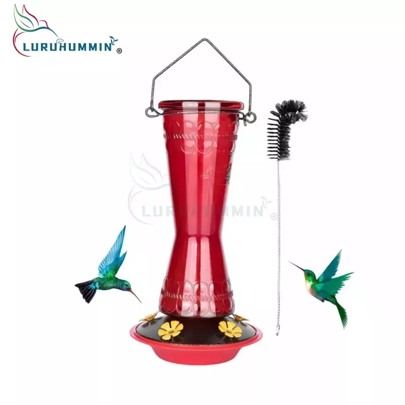 Hummingbird Feeder: un bellissimo ponte per interagire con la natura